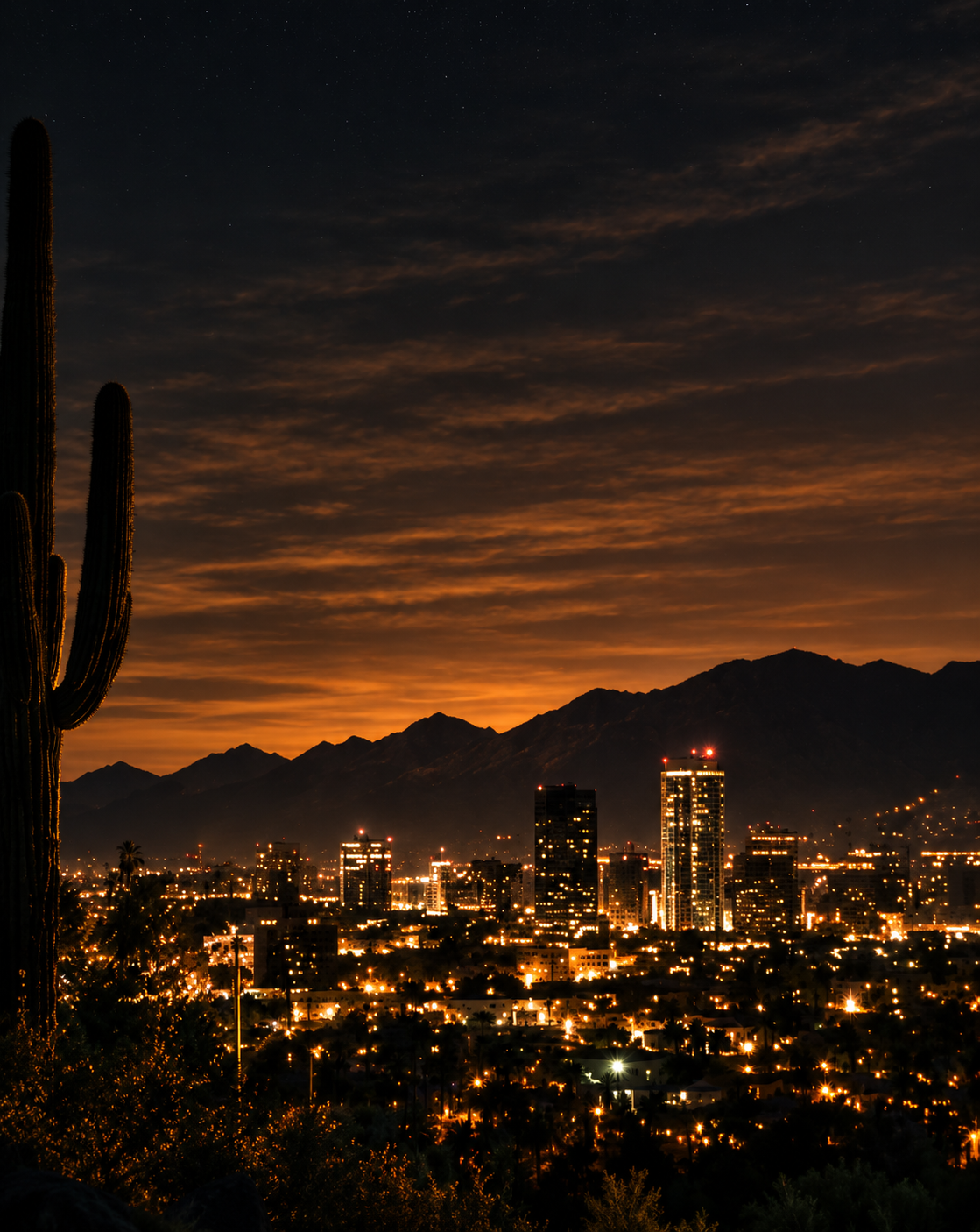 Phoenix skyline at night with a saguaro cactus